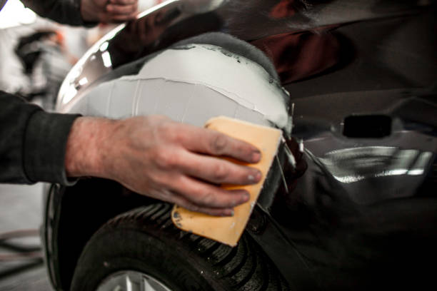 Reliable Erie, IL Mold Removal Solutions