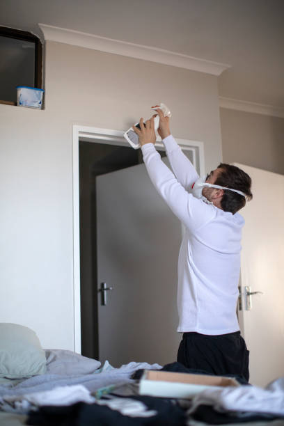 Dehumidification Services in Erie, IL