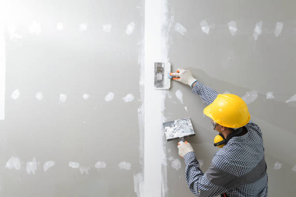 Best Comprehensive Air Testing for Mold Contaminants  in Erie, IL