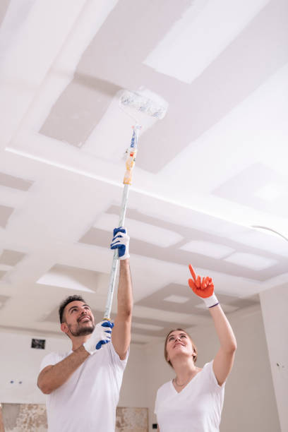 Best Indoor Air Quality Assessment  in Erie, IL