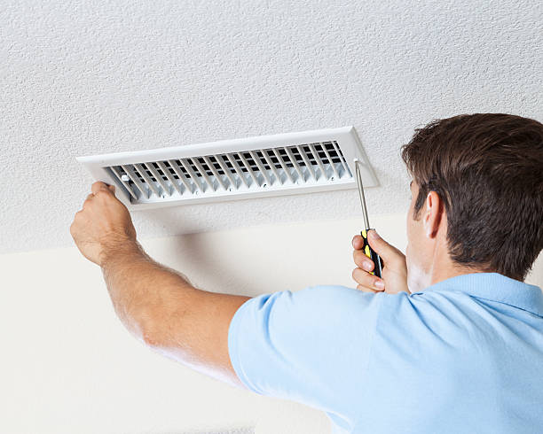 Best Attic Mold Removal  in Erie, IL