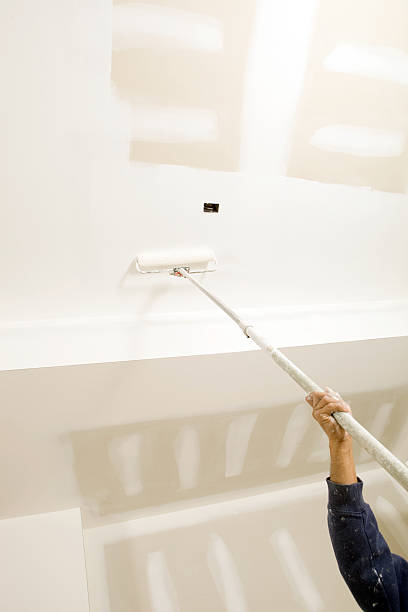 Best Air Quality Testing for Mold Spores  in Erie, IL