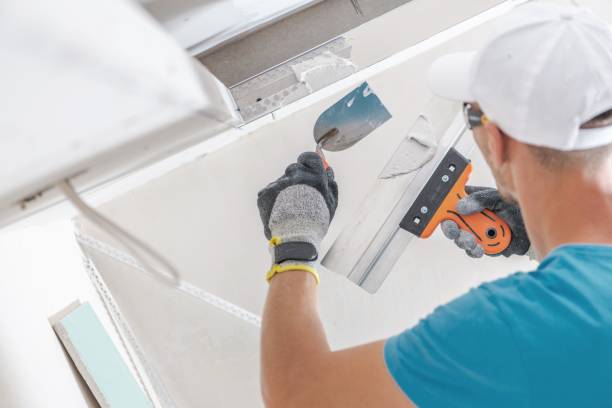 Best Industrial Mold Remediation  in Erie, IL
